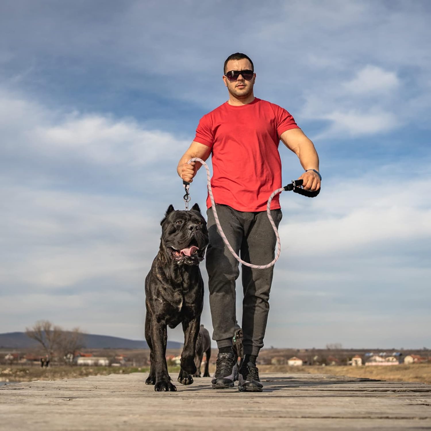 Heavy Duty Rope Dog Leash 6 Pack, 6FT Nylon Pet Leash with Reflective Thread, Soft Padded Handle Thick Lead Leash for Large Medium Dogs Small Puppy