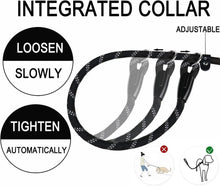 Load image into Gallery viewer, Durable Premium Quality Strong Training Rope Slip Leash with Comfortable Padded Handle and Highly Reflective Threads for Small Medium and Large Dogs