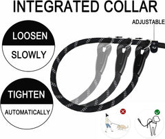 Durable Premium Quality Strong Training Rope Slip Leash with Comfortable Padded Handle and Highly Reflective Threads for Small Medium and Large Dogs