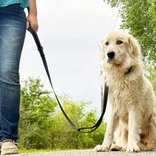 画像をギャラリービューアに読み込む, Dog Leash Heavy Duty for Large Dogs That Pull, Double Handle for Traffic Control, Double-Sided Reflective Leashes for Large Medium Dogs Night Safety