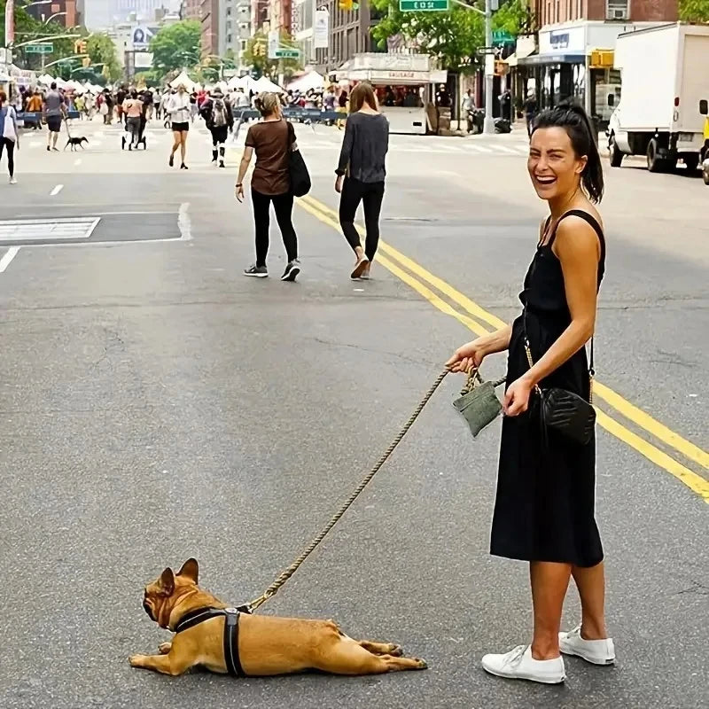 Walking Dog Snack Pocket with Carabiner Hands Free Pet Treat Bag Waist Pack Storage Pouch Dog Puppy Training Bag Food Reward