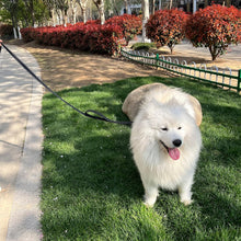 画像をギャラリービューアに読み込む, Dog Leash Heavy Duty for Large Dogs That Pull, Double Handle for Traffic Control, Double-Sided Reflective Leashes for Large Medium Dogs Night Safety