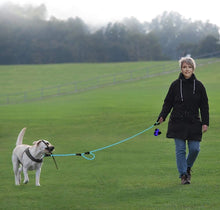 Cargar imagen en el visor de la galería, Traffic Padded Two Handle,Heavy Duty,Reflective Double Handles Lead for Control Safety Training,Leashes for Large Dogs or Medium Dogs