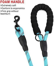 Cargar imagen en el visor de la galería, Traffic Padded Two Handle,Heavy Duty,Reflective Double Handles Lead for Control Safety Training,Leashes for Large Dogs or Medium Dogs