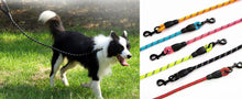 画像をギャラリービューアに読み込む, 2 Pack Dog Leash, 4/5//6 FT Heavy Duty Nylon Rope Pet Leashes with Comfortable Padded Handle, Reflective Dog Leashes for Small Medium and Large Dogs